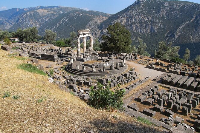 2-Day Delphi & Olympia Tour with Olive Oil & Honey Tasting - Klio’s Honey Farm: Coffee, Handmade Desserts, and a Real Connection to Local Farms