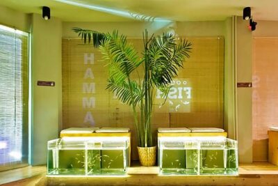 20-Minutes Natural Pedicure with Exotic Fish - Key things to know before your fish pedicure