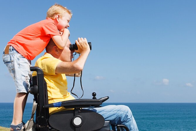 Accessible Tour In Athens, 3 Hours Athens Panorama Shore Excursion - From Piraeus Pickup to Acropolis Views in One Smooth Sweep