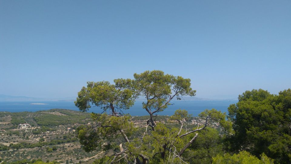 Aegina Island & Temple of Athina Aphaia Private Day Tour - Perdika fishing village: the seaside lunch that isn’t staged