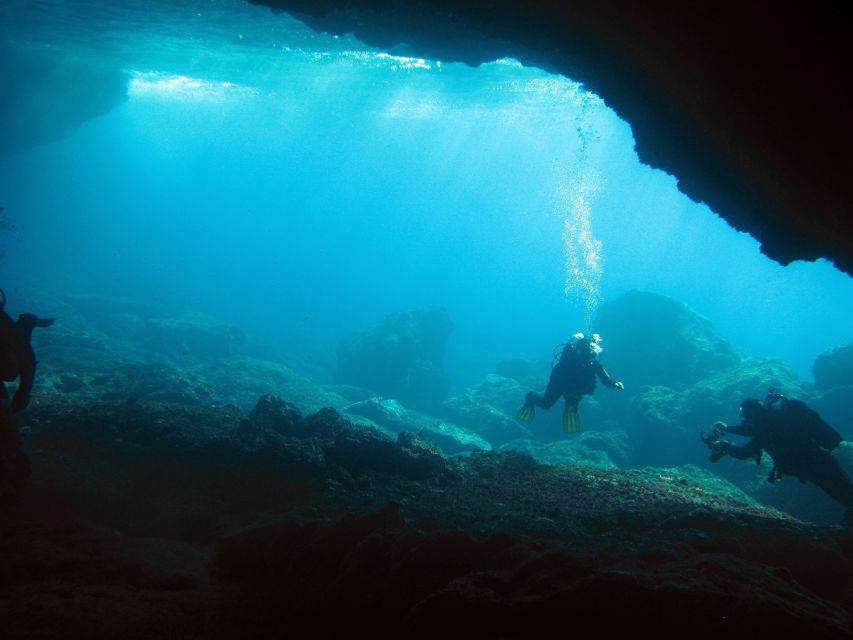 Athens: Adventure Dives in Nea Makri for Certified Divers - Key highlights at a glance