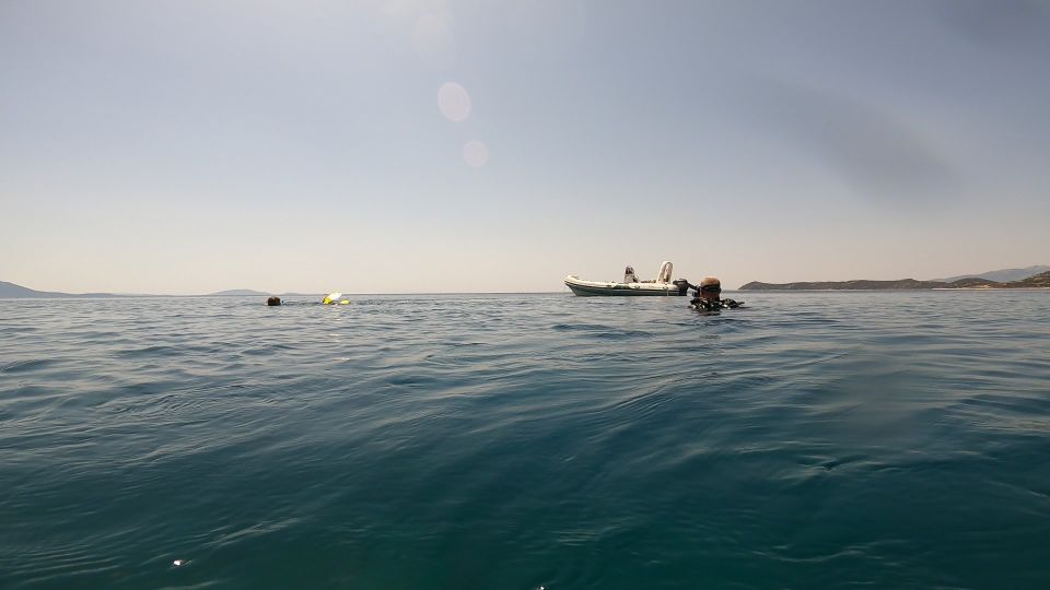Athens: Adventure Dives in Nea Makri for Certified Divers - Schinias Bay Start: Shore Options vs Boat Out to the Open Water