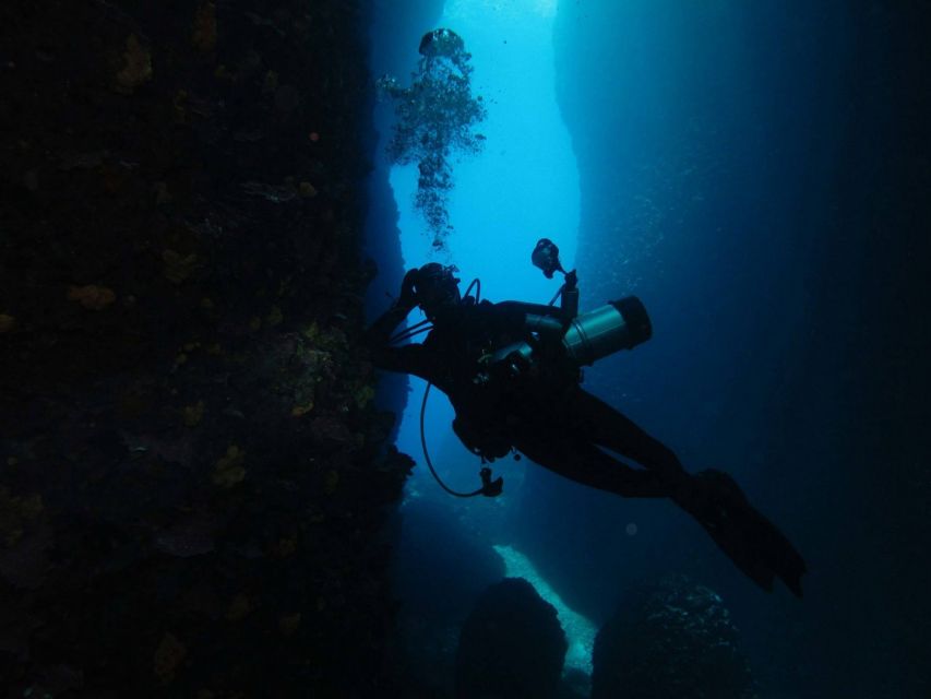 Athens: Adventure Dives in Nea Makri for Certified Divers - Platourada Island, Dipsa Island, and Marathon Cape: What You’ll See Underwater