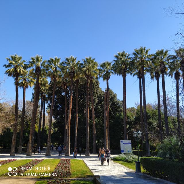 Athens city center walking tour - Key highlights worth planning around