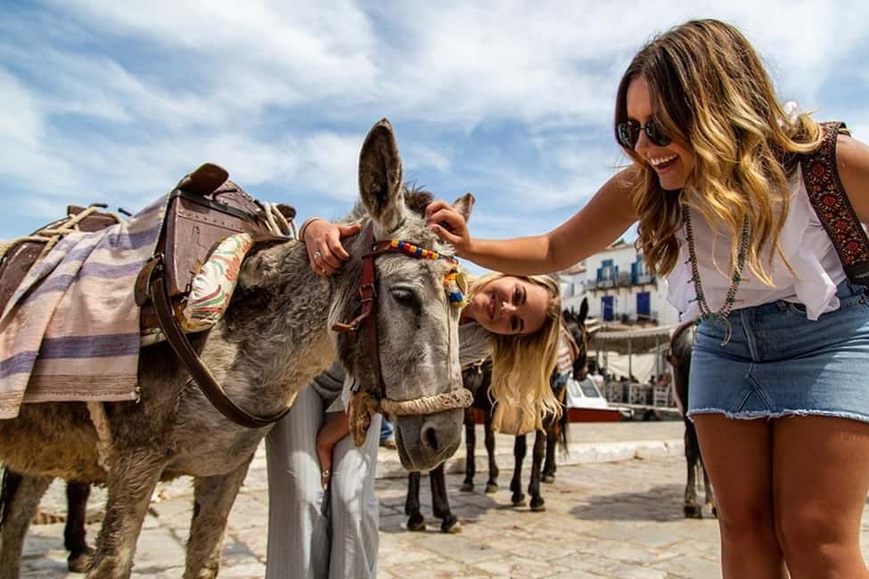 Athens Day Cruise – Since 1965 | Visit Hydra, Poros & Aegina - Getting the most out of the 11-hour schedule: comfort, crowds, and timing moves