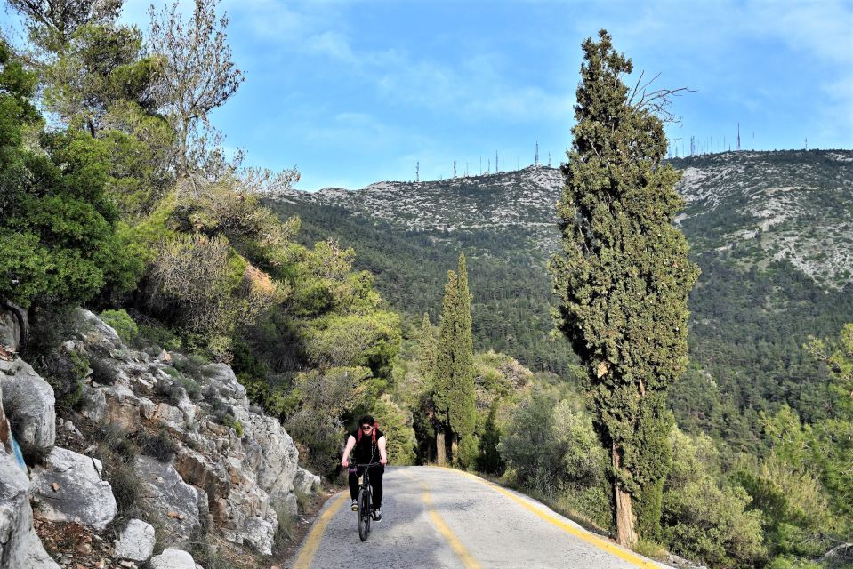 Athens: Electric Bicycle Tour to Mount Hymettus - The Climb on Paved Roads: Winding Up Through the Wooded Slopes