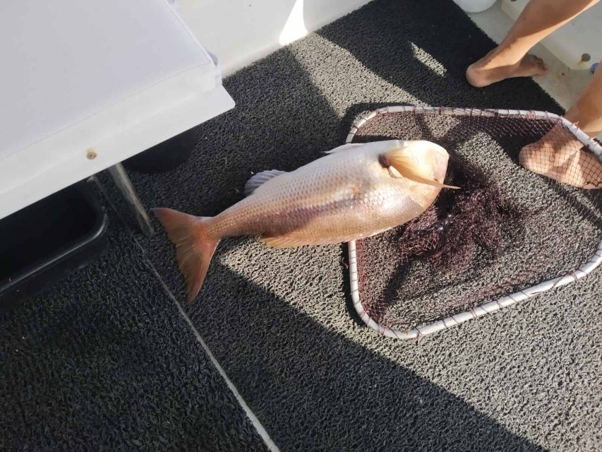 Athens: Fishing Trip Experience on a Boat with Seafood Meal - Price and Value: Is $318 per Person Worth It?