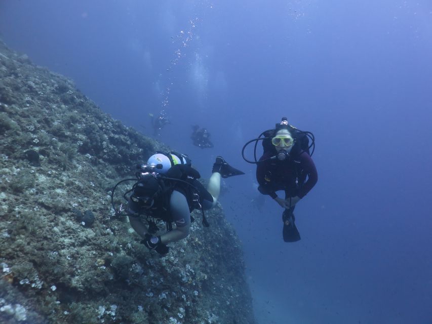 Athens: Private Discover Scuba Diving for Beginners - Inside the water: what you’ll actually see and why it’s fun