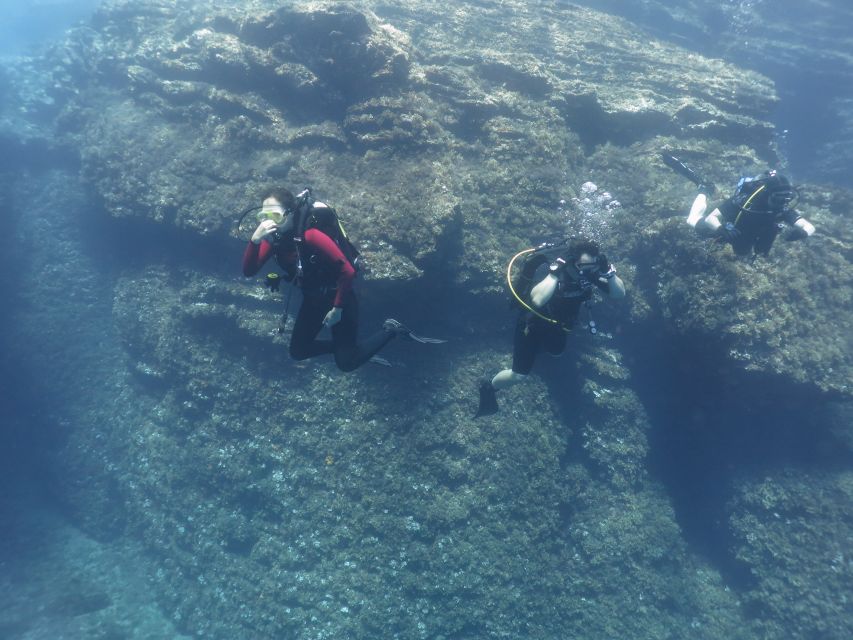 Athens: Private Discover Scuba Diving for Beginners - The 5-hour rhythm: pickup, briefing, gear fit, then underwater time