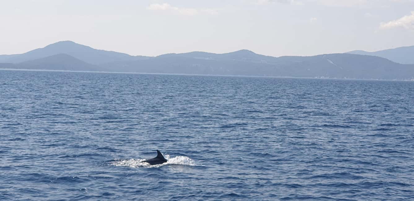 Athens Riviera Private Catamaran Cruise with Meal and Drinks - Vouliagmeni / Asteras Bay: where the first swim feels worth the wait