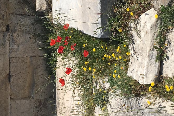Athens Shore Excursion: Private City Sightseeing and Acropolis Tour - The Propylaea gateway: history that feels physical