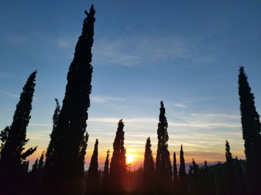 Athens Sunset Hike - The hike experience: pine paths, the Crazy Mountain climb, and a safe pace