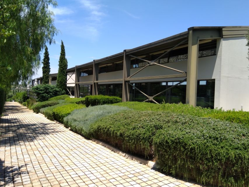 Athens Winery Tour - Why the Athens Suburbs Vineyards Feel Like a Real Break