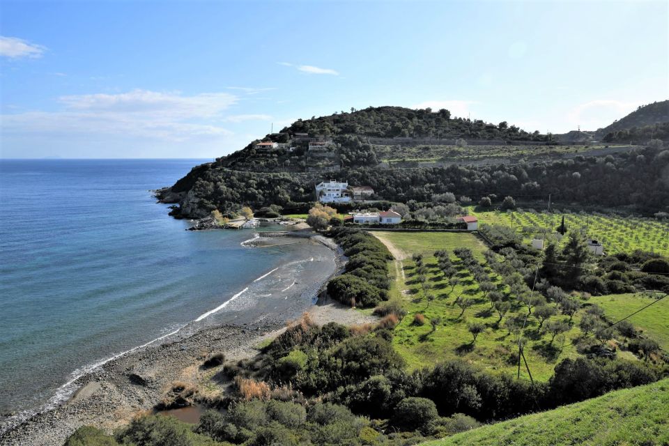 From Athens: Aegina Island E-Bike Tour with Ferry Tickets - Ferry time from Athens to Aegina: the part that makes it feel like an island day