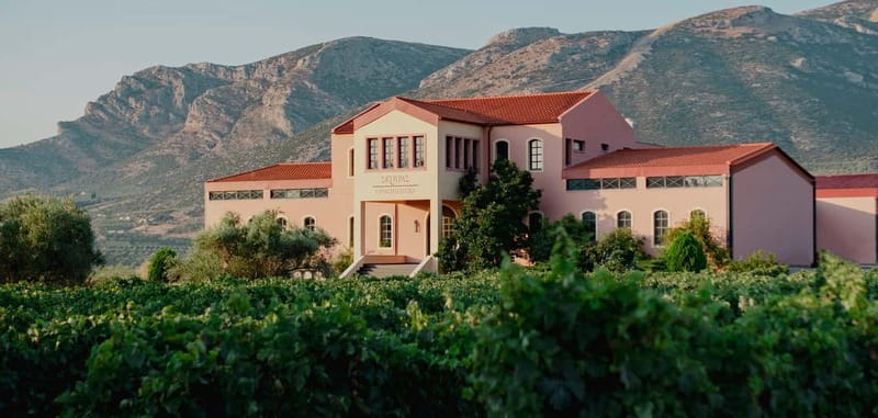 From Athens: Ancient Sparta and Nemea Wine Country Day Trip - Domaine Skouras wine tasting: the finish that makes the day feel complete