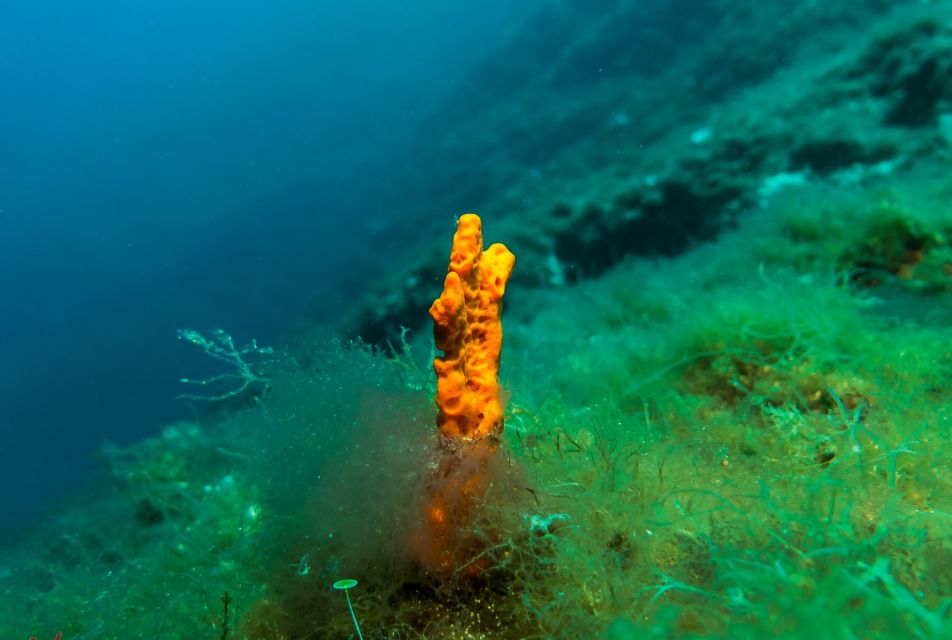 From Athens: Scuba Diving at the Blue Hole - Hotel Pickup and the Short Drive to Vouliagmeni