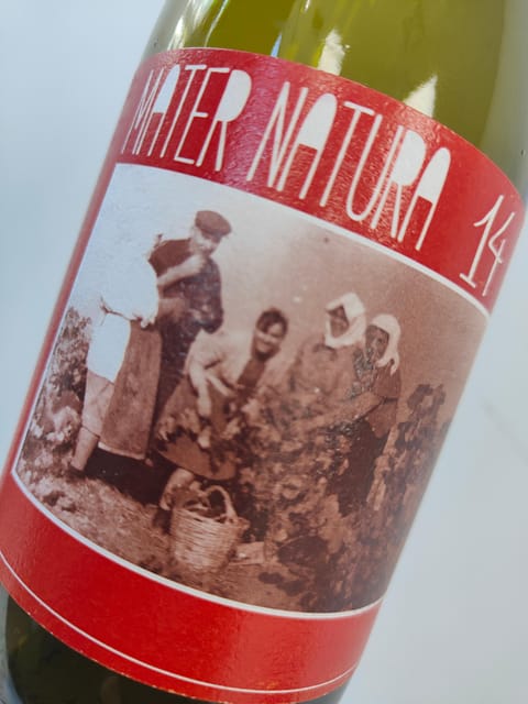 Orange & Natural Wines Of Greece with Cheese & Olive Oils - Turning Greek Wine History Into Flavor: What This Tasting Really Does