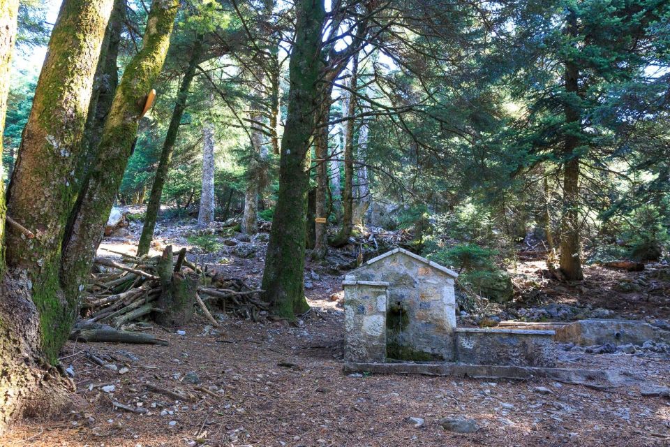 Parnitha (Parnis) / Skipiza & Mola loop - Hike near Athens - The hike start at Mpafi hut: easy pace, meaningful stops