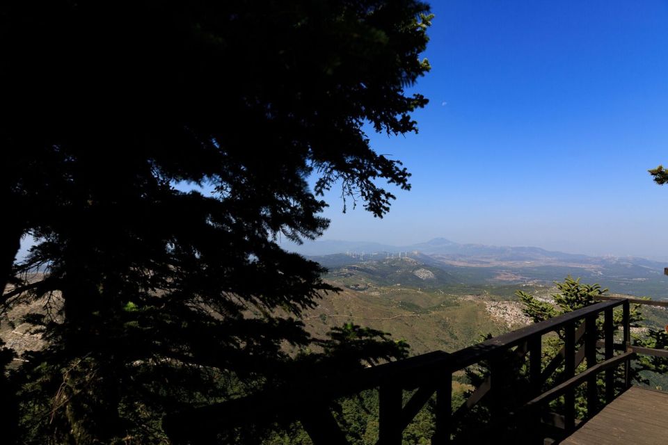 Parnitha (Parnis) / Skipiza & Mola loop - Hike near Athens - Price and value: is $100 per person reasonable?