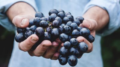 Private Wine Tasting Experience in Athens - The Wine Bar Part: How the Tasting Actually Works