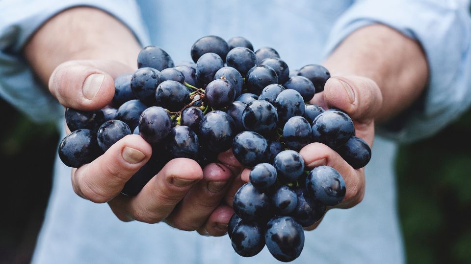 Private Wine Tasting Experience in Athens - The Wine Bar Part: How the Tasting Actually Works
